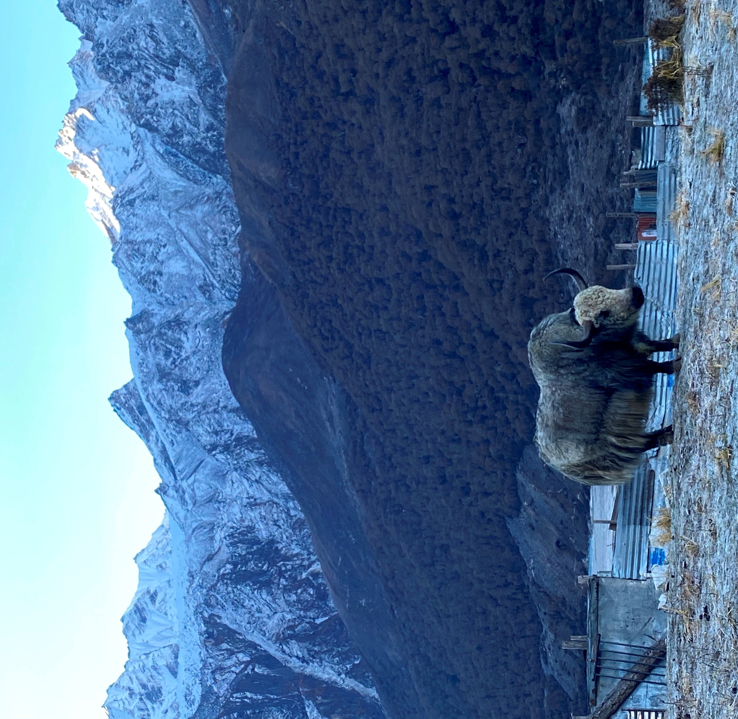 langtang (7).jpg